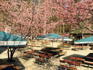der Biergarten