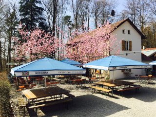 der Biergarten